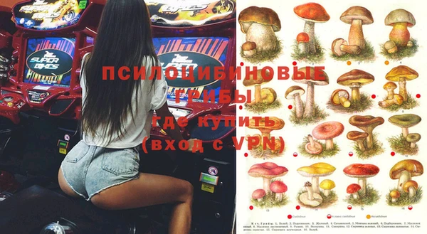 ECSTASY Козельск