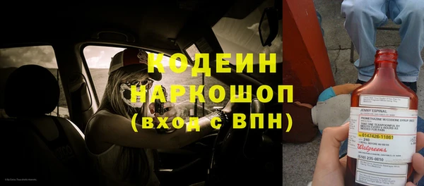 дмт Кодинск