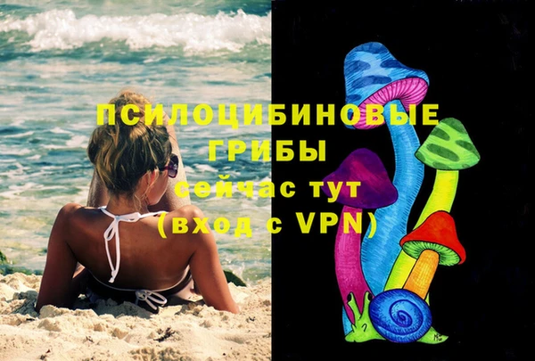 ECSTASY Козельск