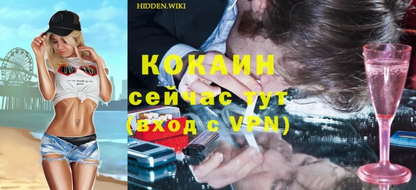 дмт Кодинск