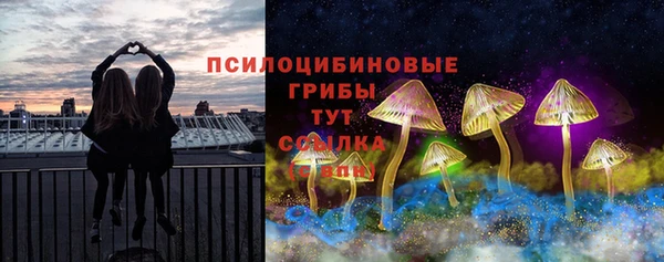 ECSTASY Козельск