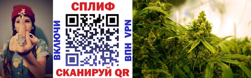 Купить  Великие Луки  Марихуана планчик 